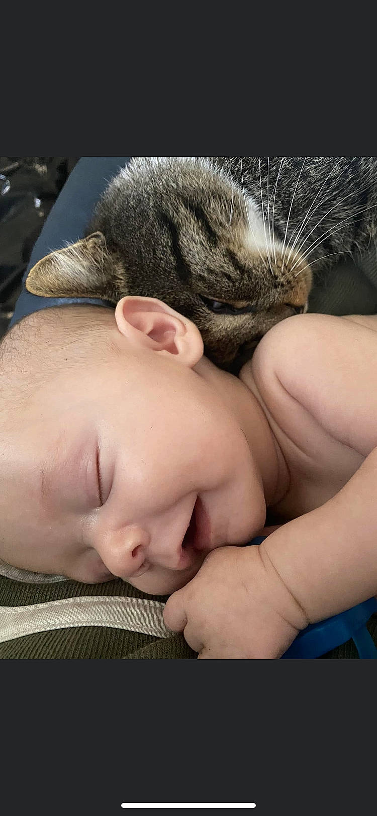 Jonathan joined the competition — help win amazing prizes! arm, carnivore, cat, cheek, comfort, eye, eyebrow, eyelash, felidae, finger, gesture, hand, human_body, mouth, nail, nose, person, skin, small_to_medium_sized_cats, thumb