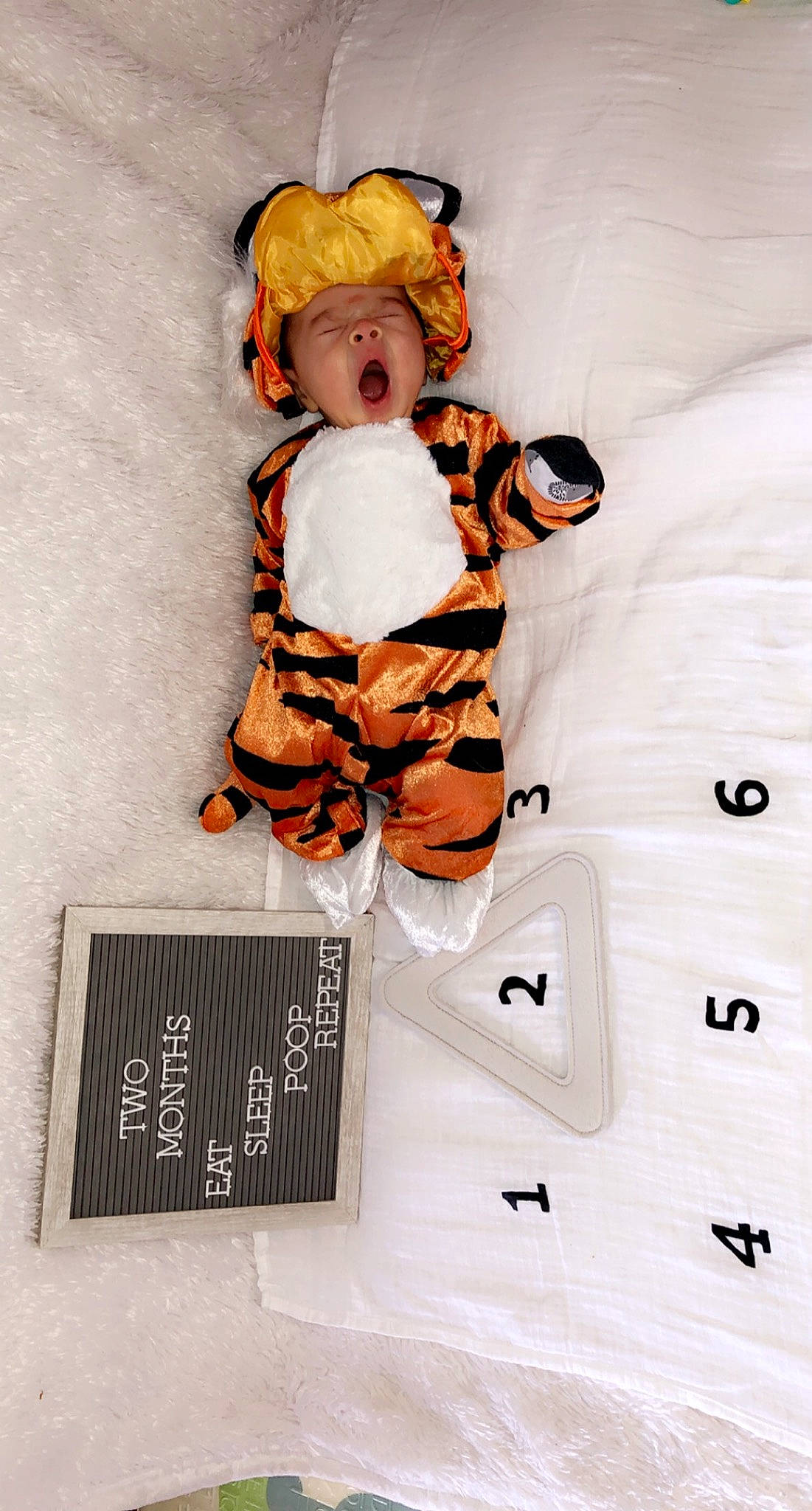 Jomar joined the competition — help win amazing prizes! child, doll, orange, person, toddler, toy