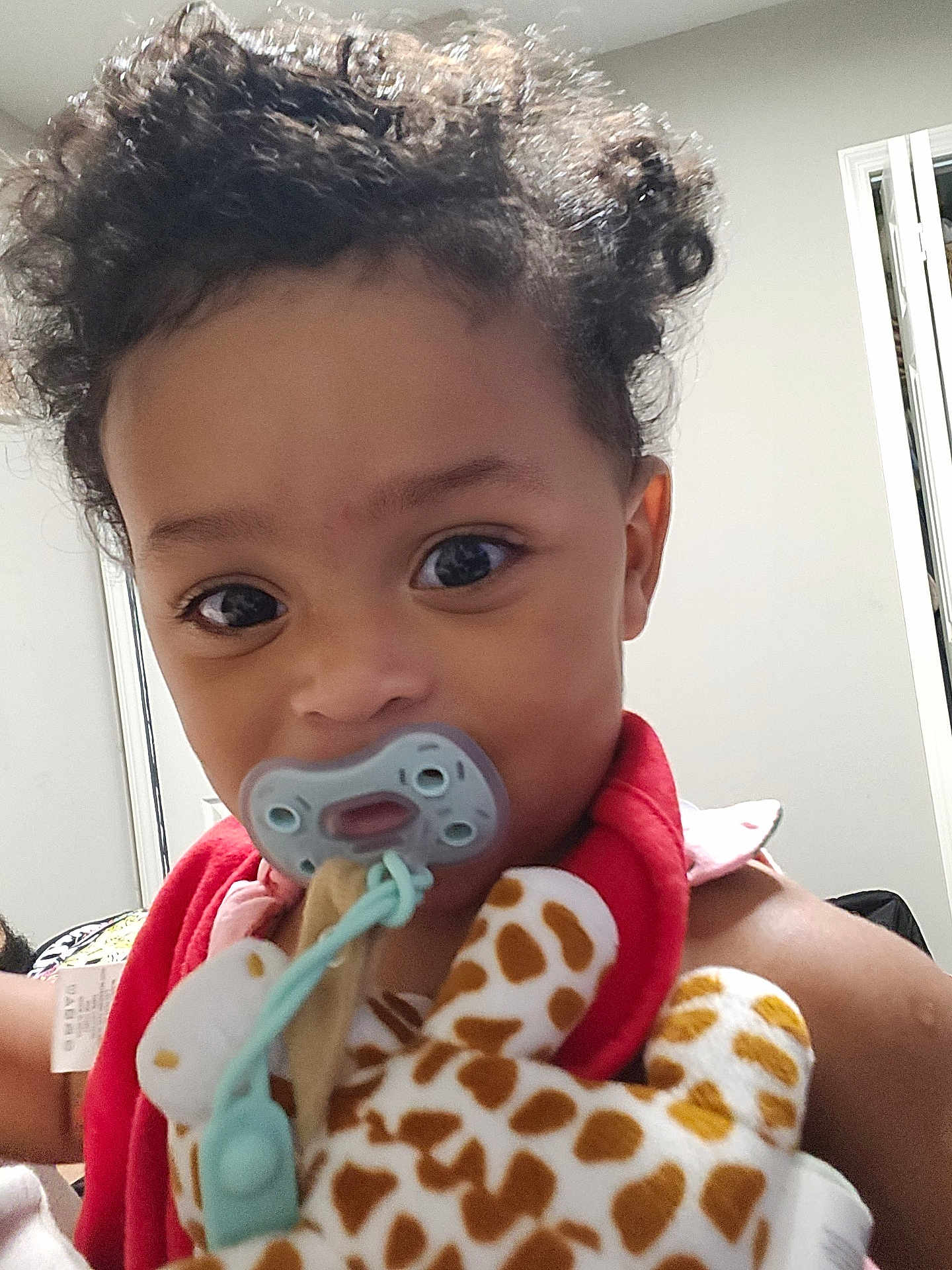 Phoebe joined the competition — help win amazing prizes! toddler, child, baby, pacifier, curly_hair, plush_toy, giraffe_toy, red_bib, indoor, close_up, face, cute, expression, person, young_child, soft_toy, infant, portrait, skin, eyes