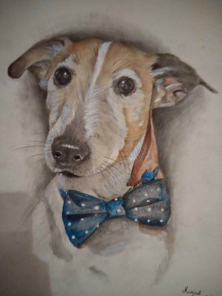 Falko a rejoint le concours — aidez-le/la à gagner de superbes lots ! art, bow_tie, canidae, carnivore, collar, companion_dog, dog, dog_breed, dog_clothes, dog_collar, dog_supply, electric_blue, fawn, jewellery, pet_supply, snout, sporting_group, toy, whiskers, working_animal