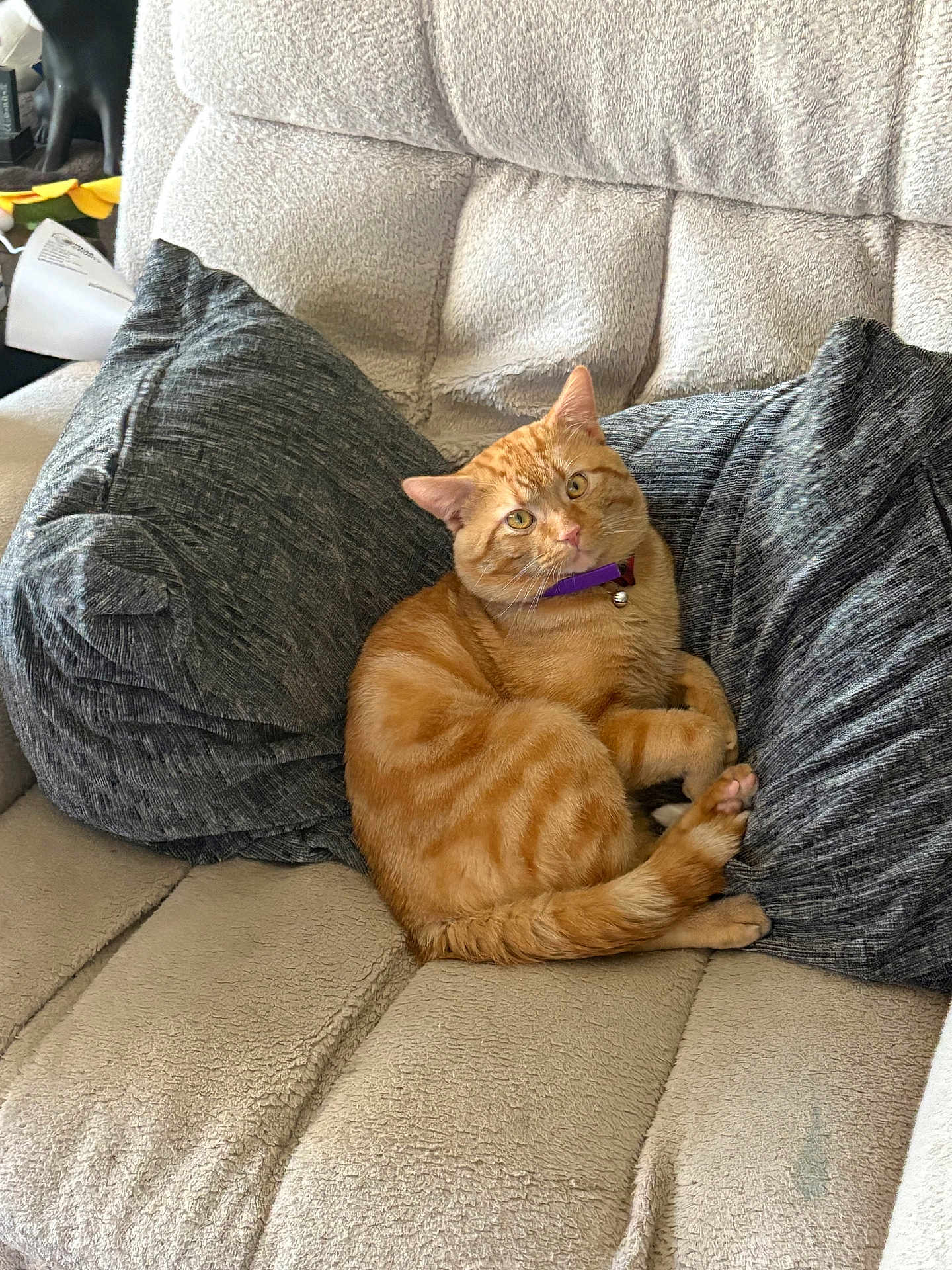 Kitty