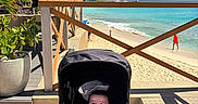 Nahil a rejoint le concours — aidez-le/la à gagner de superbes lots ! baby, stroller, beach, ocean, water, sand, palm_tree, sky, clouds, sunlight, outdoor, smiling, child, vacation, holiday, railing, plant, blue_clothing, relaxation, summer