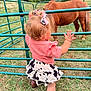 Nina is registered to the contest to win money with this photo: animal, boots, child, curly_hair, cute, daylight, farm, fence, grass, greenery, hair_bow, nature, outdoor, petting_zoo, pink_top, playing, pony, skirt, summer, toddler