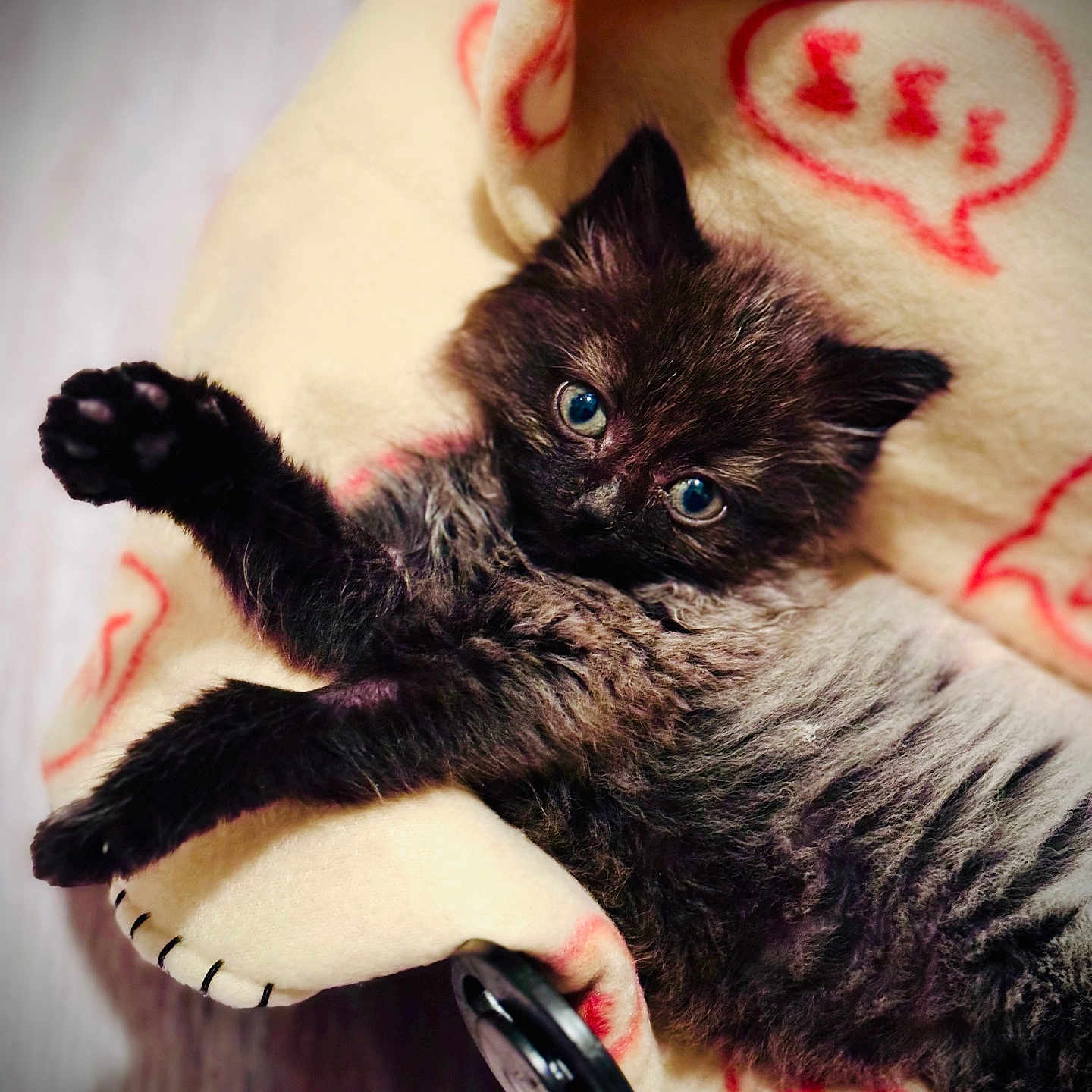 Yuki