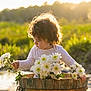 child, toddler, curly_hair, flower, daisy, barrel, outdoor, nature, sunlight, golden_hour, greenery, portrait, cute, baby, plant, daylight, grass, innocence, garden, sitting