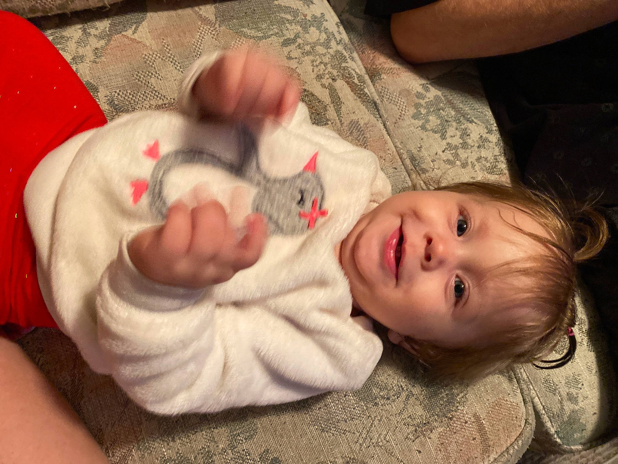 Estella is registered to the contest to win money with this photo: arm, baby, cheek, child, comfort, ear, eye, finger, gesture, happy, human_leg, joy, lap, lip, mouth, nose, person, skin, smile, toddler