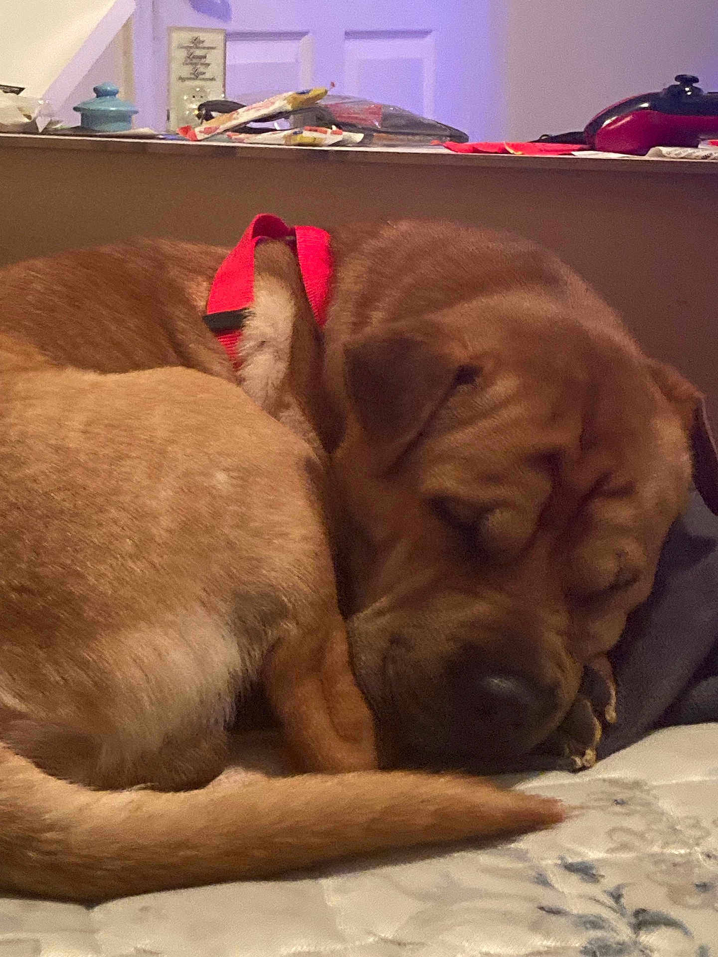 Gunner