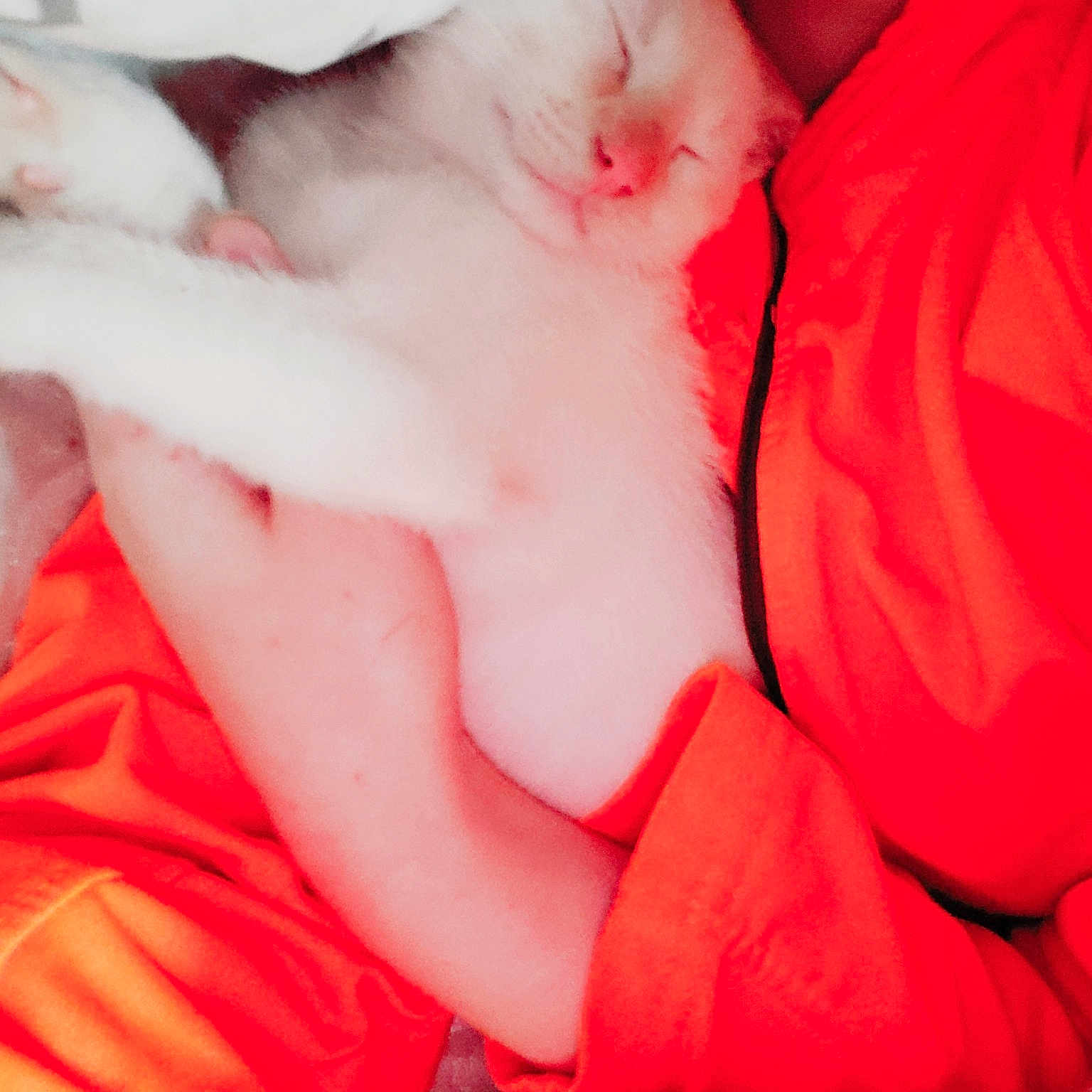 Dipstick  joined the competition — help win amazing prizes! child, finger, girl, hand, infant, leg, mouth, nap, neck, red, skin, sleep