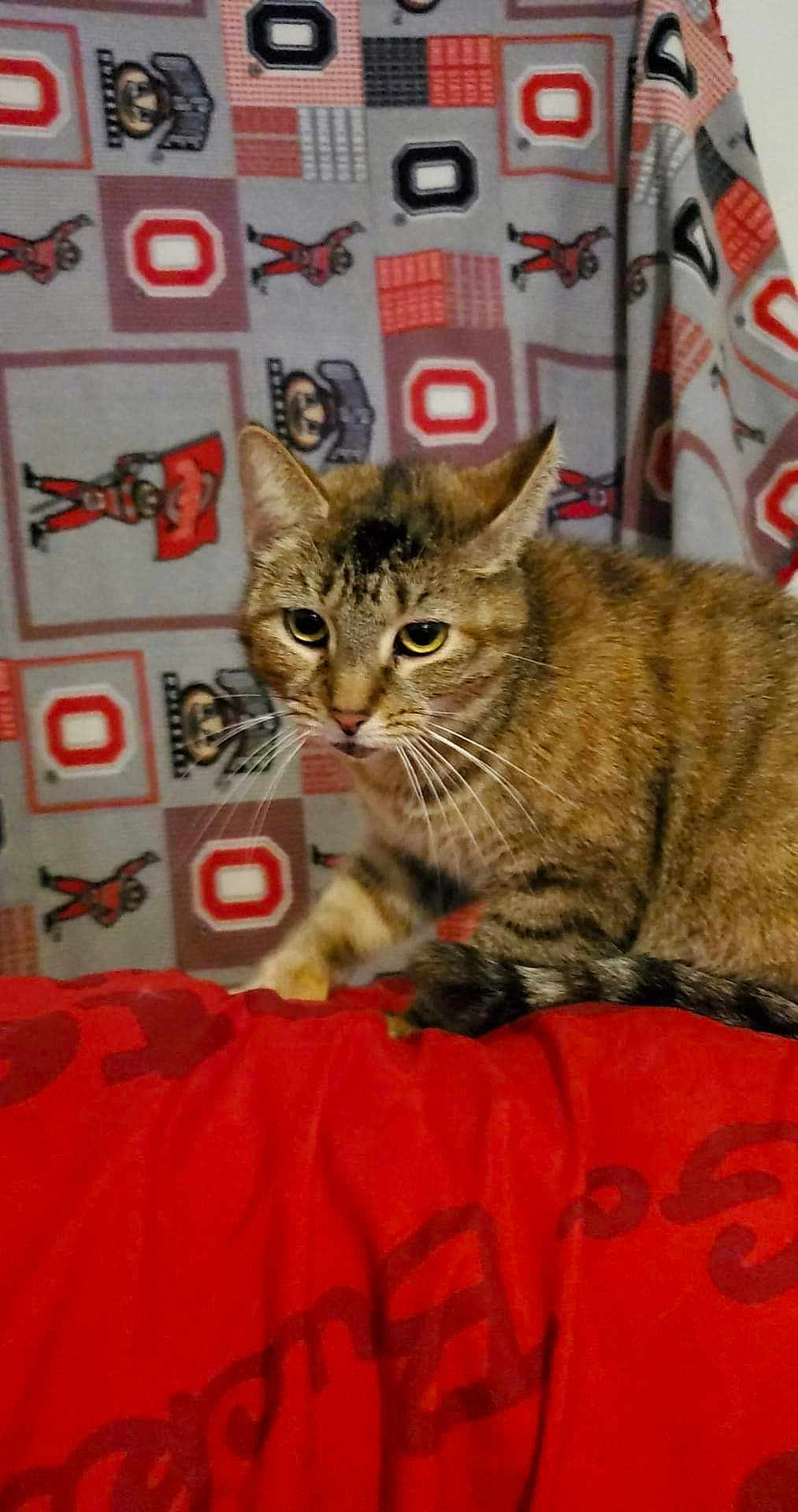 Miha