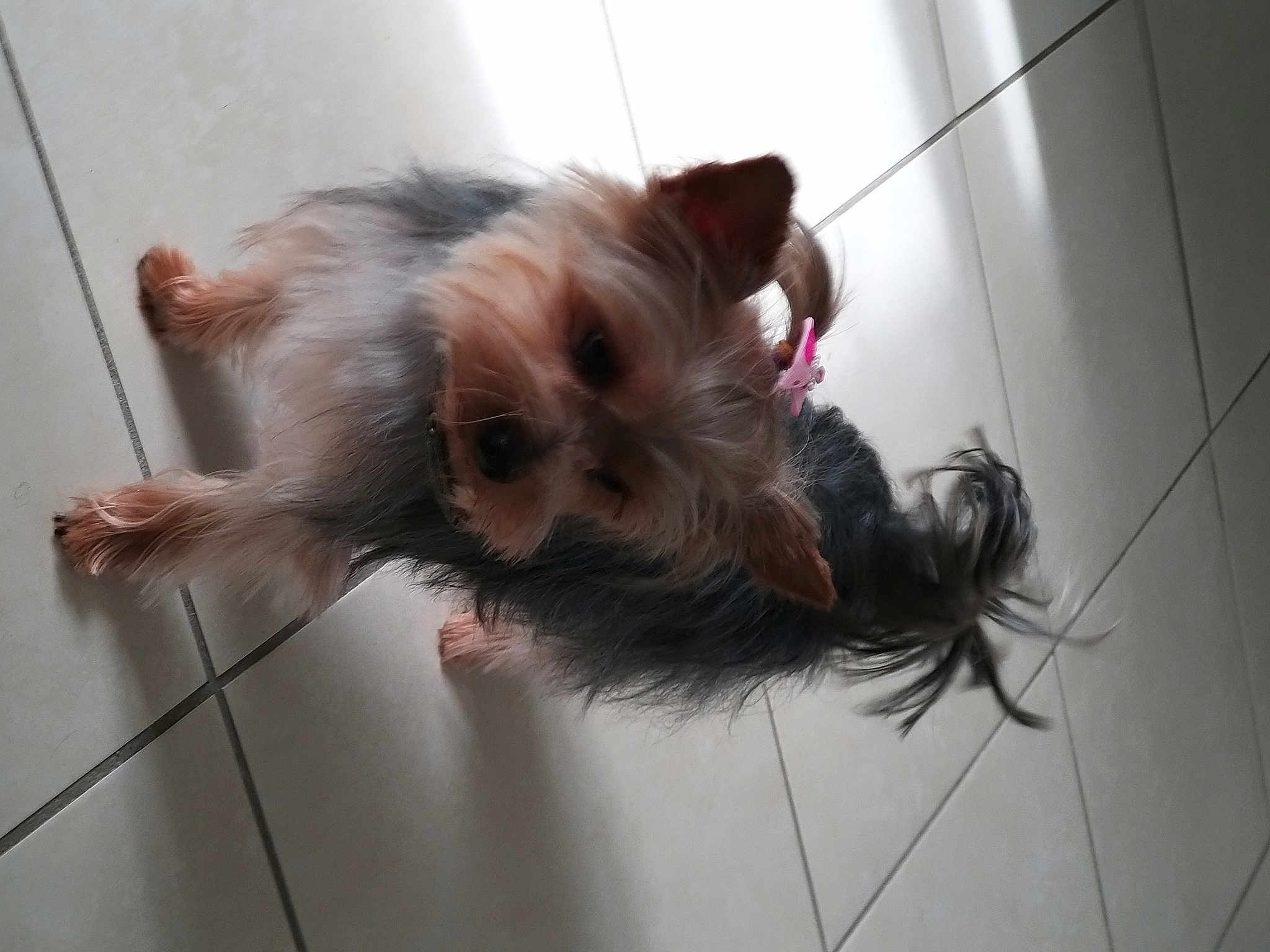 Betty