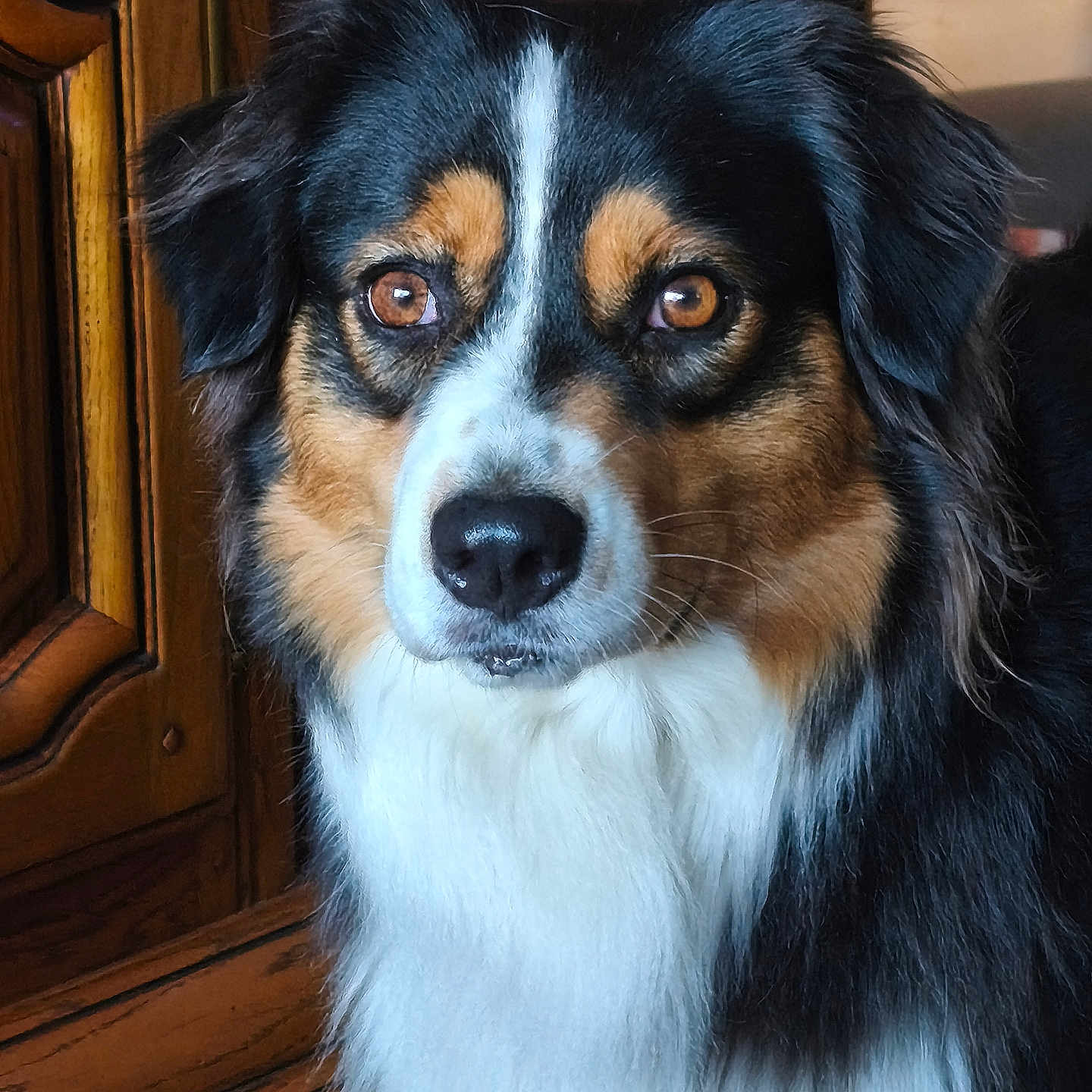 Tara