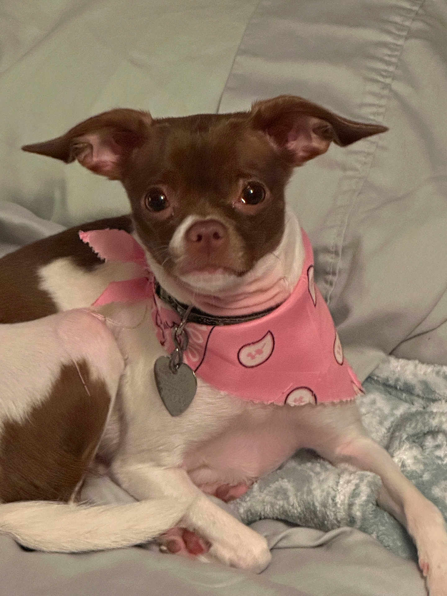 Nala Huchingson