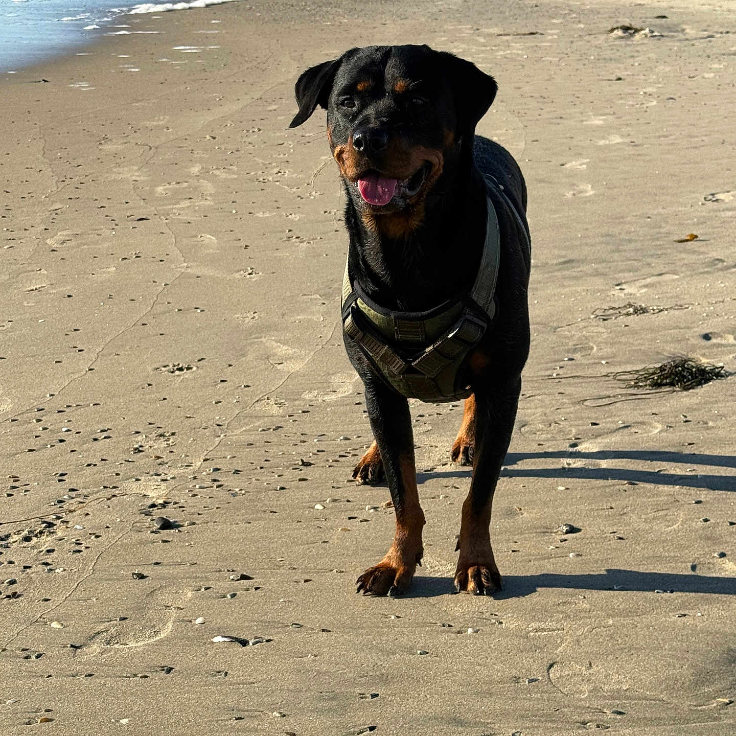 Remi