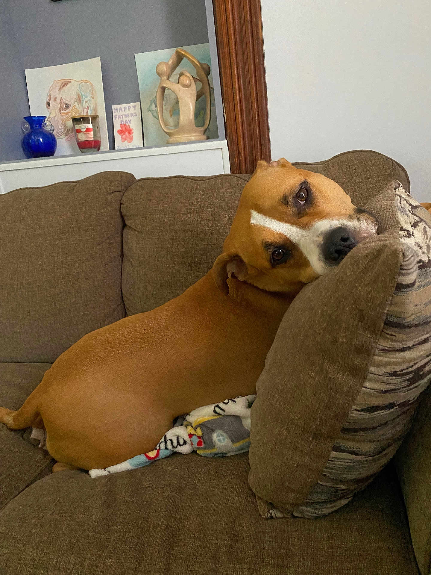 Zodi