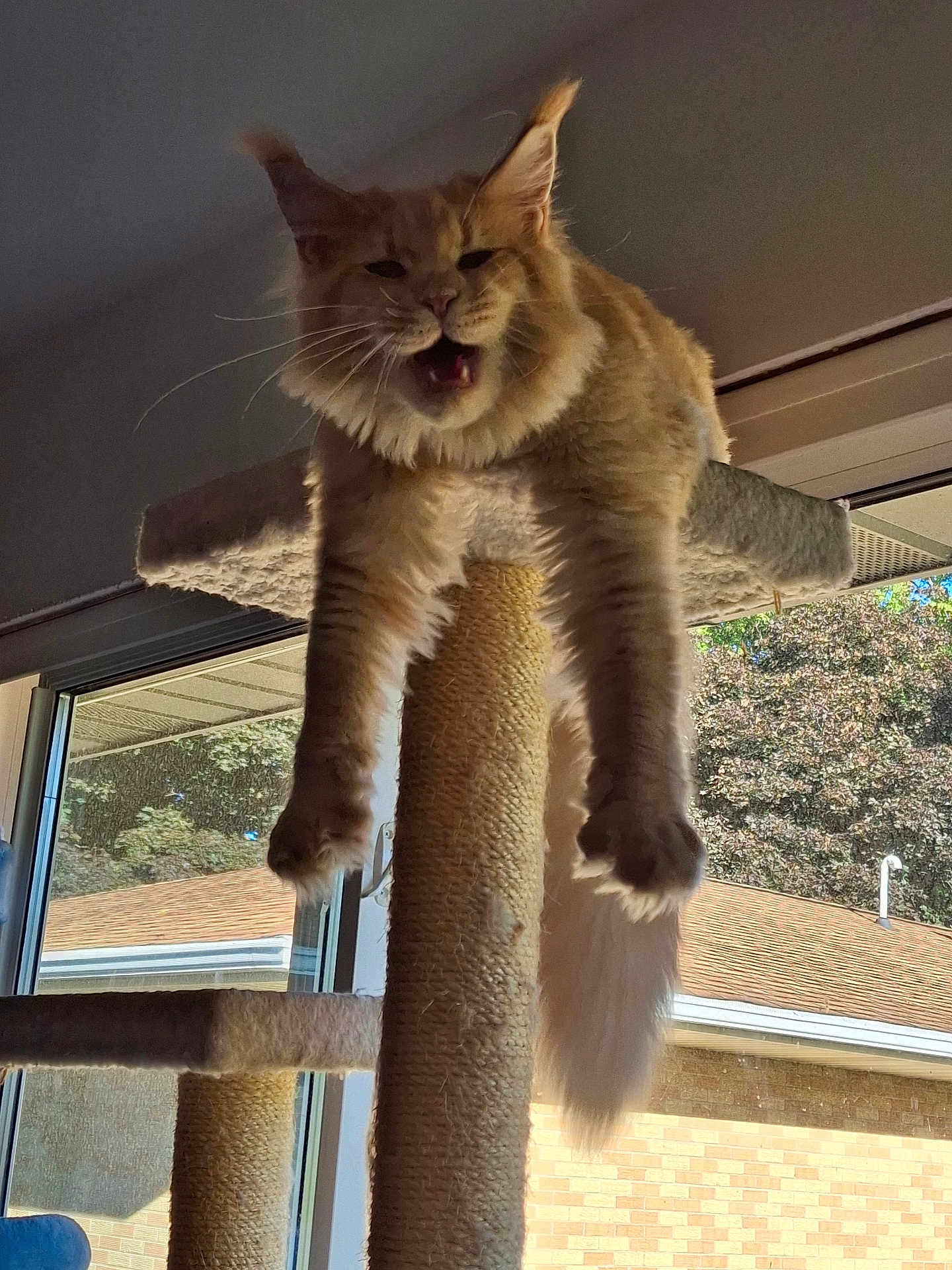 Archie