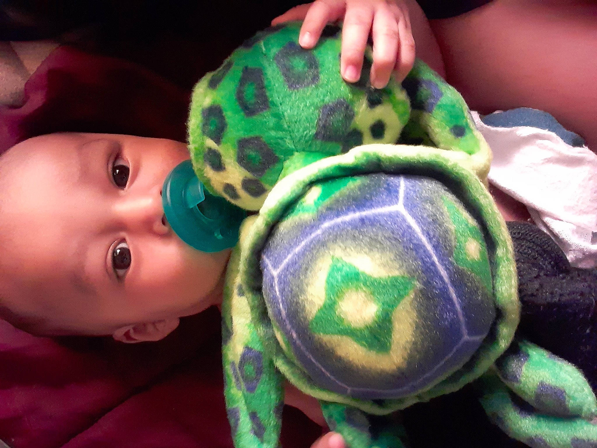 Jesus joined the competition — help win amazing prizes! baby, baby_playing_with_toys, baby_products, baby_toddler_clothing, baby_toys, ball, cheek, dog_toy, green, nail, person, plush, product, purple, skin, stuffed_toy, teal, toy, turquoise, violet