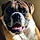 Axle