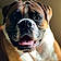 Axle