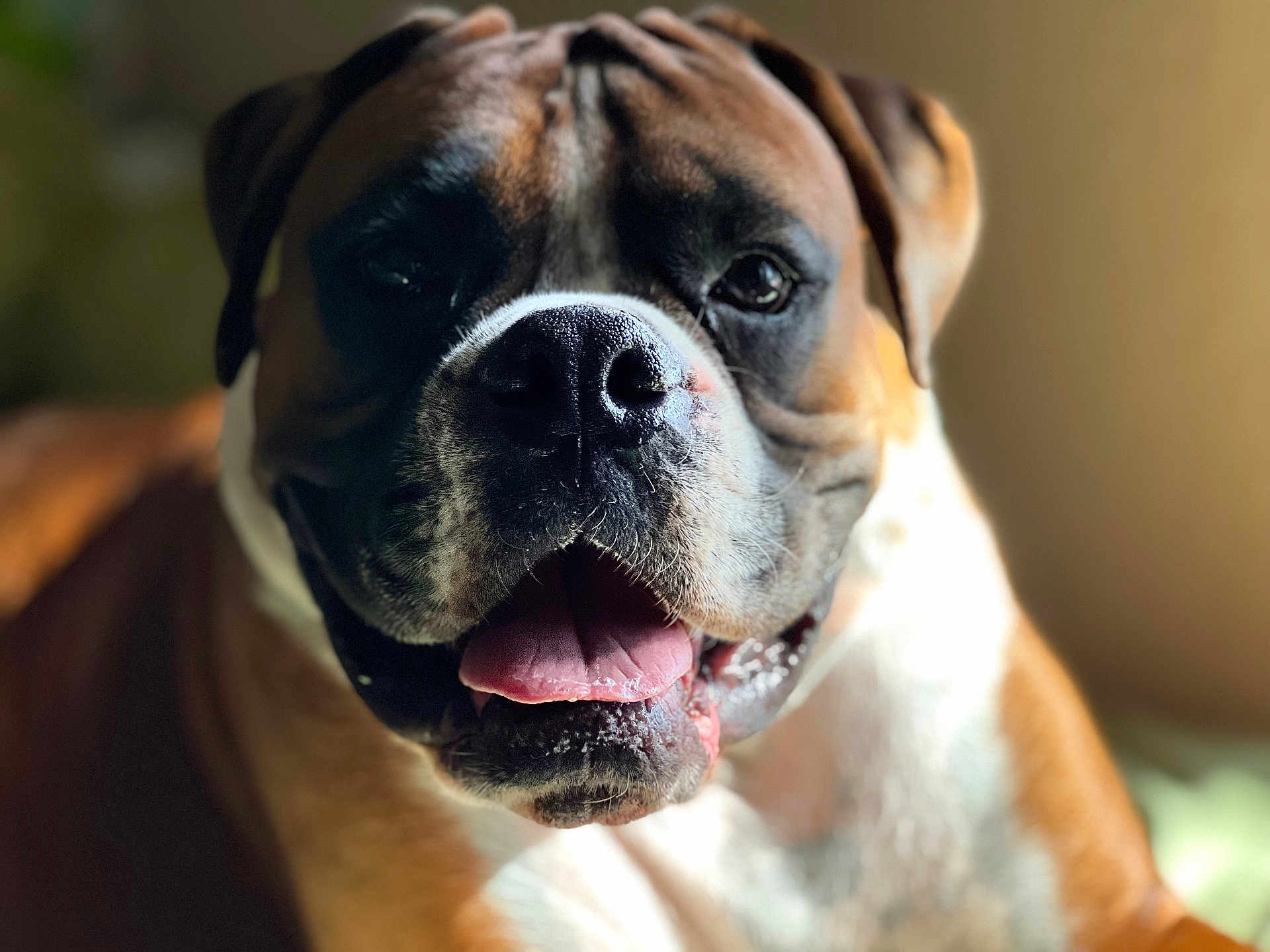 Axle