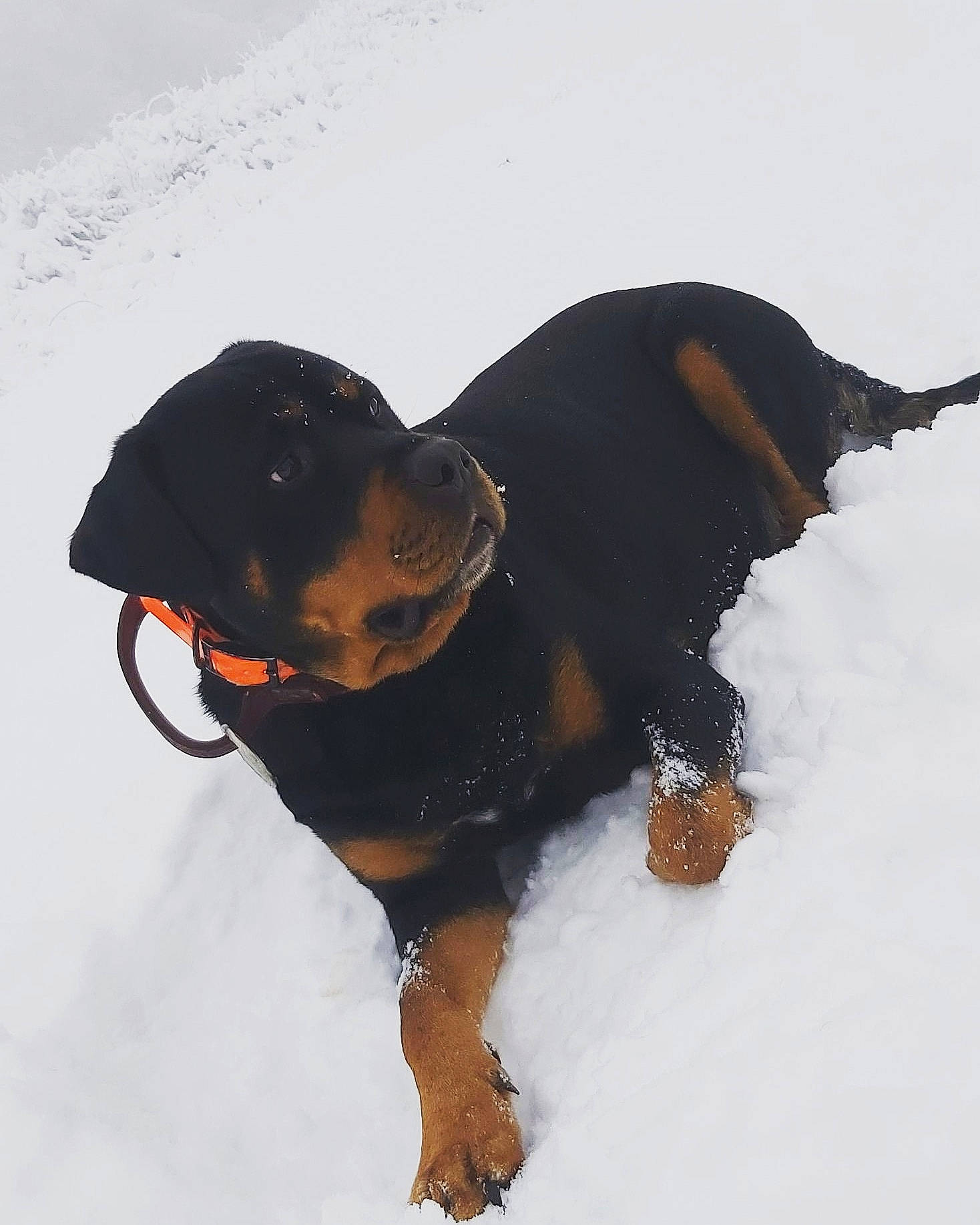 Tayson