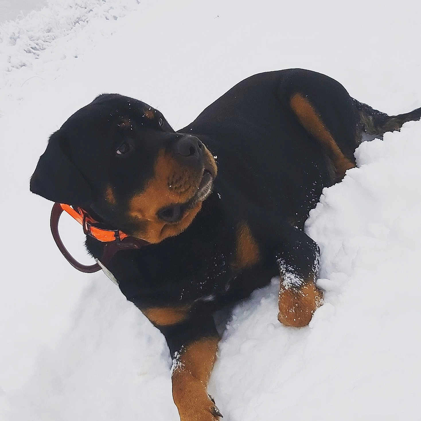 Tayson