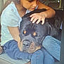 child, dog, rottweiler, hugging, affection, indoor, window, natural_light, calm, pet, companionship, love, young_girl, casual_clothing, close_up, brown_hair, black_dog, large_dog, resting, gentle