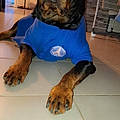 Lauura BardOot