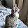 Alfie