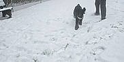 Lyla is registered to the contest to win money with this photo: person, dog, snow, winter, hoodie, gloves, fence, trees, snowball, grass, bench, outdoor, cold, playful, pet, canine, leisure, daylight, park, footprints