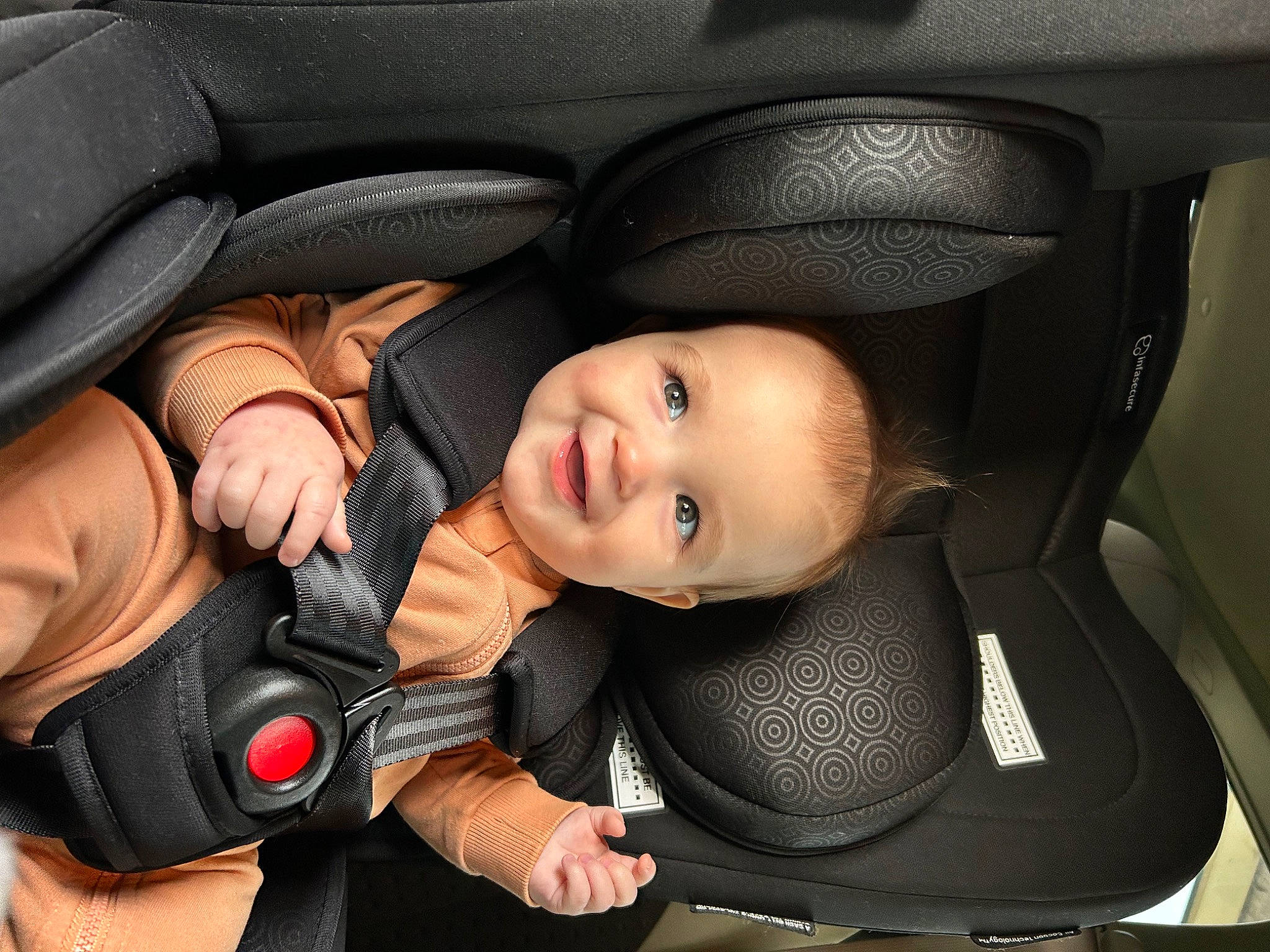 Harvey joined the competition — help win amazing prizes! audio_equipment, auto_part, automotive_design, baby, baby_carriage, baby_in_car_seat, car, car_seat, car_seat_cover, comfort, gesture, head_restraint, joy, motor_vehicle, person, personal_luxury_car, product, seat_belt, smile, steering_part