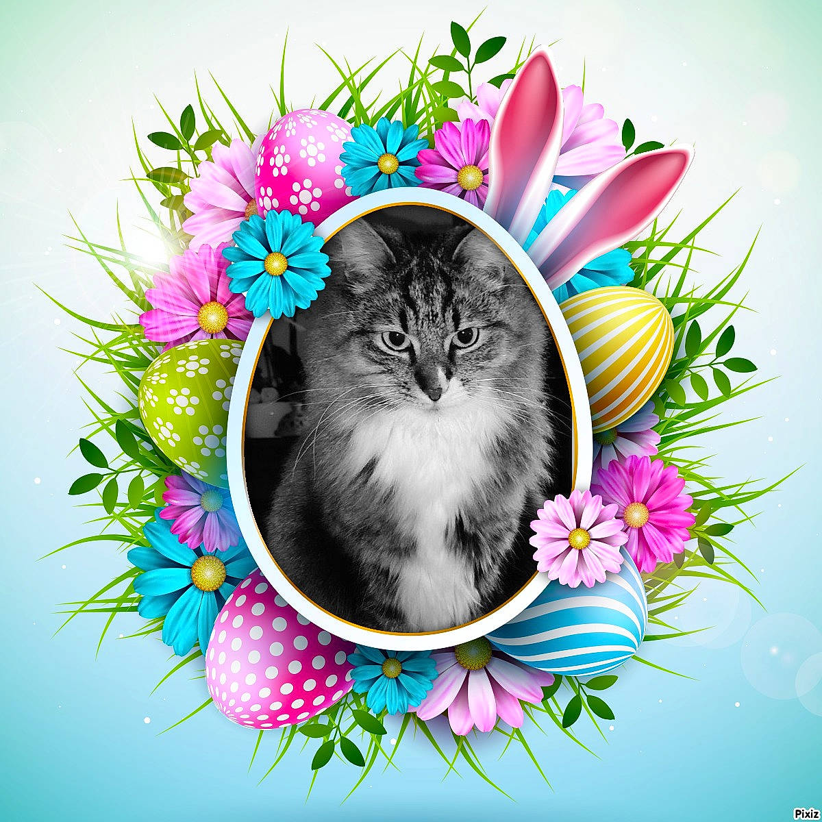 Cookie participe au concours pour gagner de l'argent avec cette photo : art, botany, carnivore, cat, felidae, flower, font, fur, graphics, grass, groundcover, illustration, magenta, organism, petal, pink, plant, small_to_medium_sized_cats, spring, whiskers
