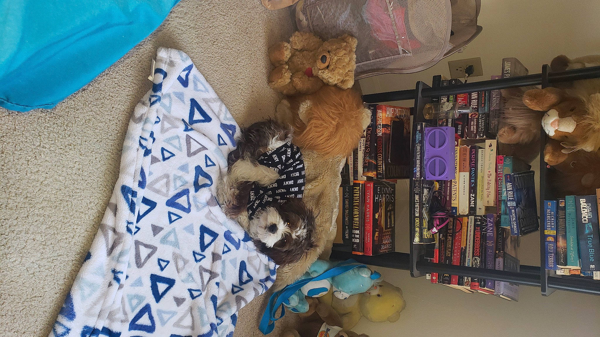 Versace joined the competition — help win amazing prizes! collection, electric_blue, felidae, fur, home_accessories, linens, pattern, plush, publication, room, shelf, shelving, souvenir, stuffed_toy, tablecloth, teddy_bear, textile, toy