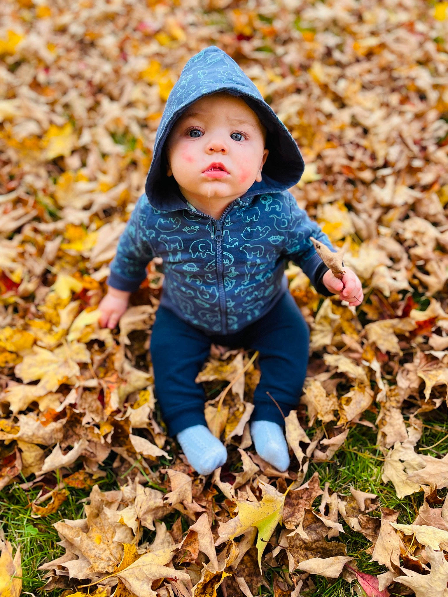 Cade is registered to the contest to win money with this photo: baby, baby_toddler_clothing, child, deciduous, face, grass, happy, headwear, landscape, natural_environment, people_in_nature, person, plant, sitting, soil, sunlight, tints_and_shades, toddler, tree, wood