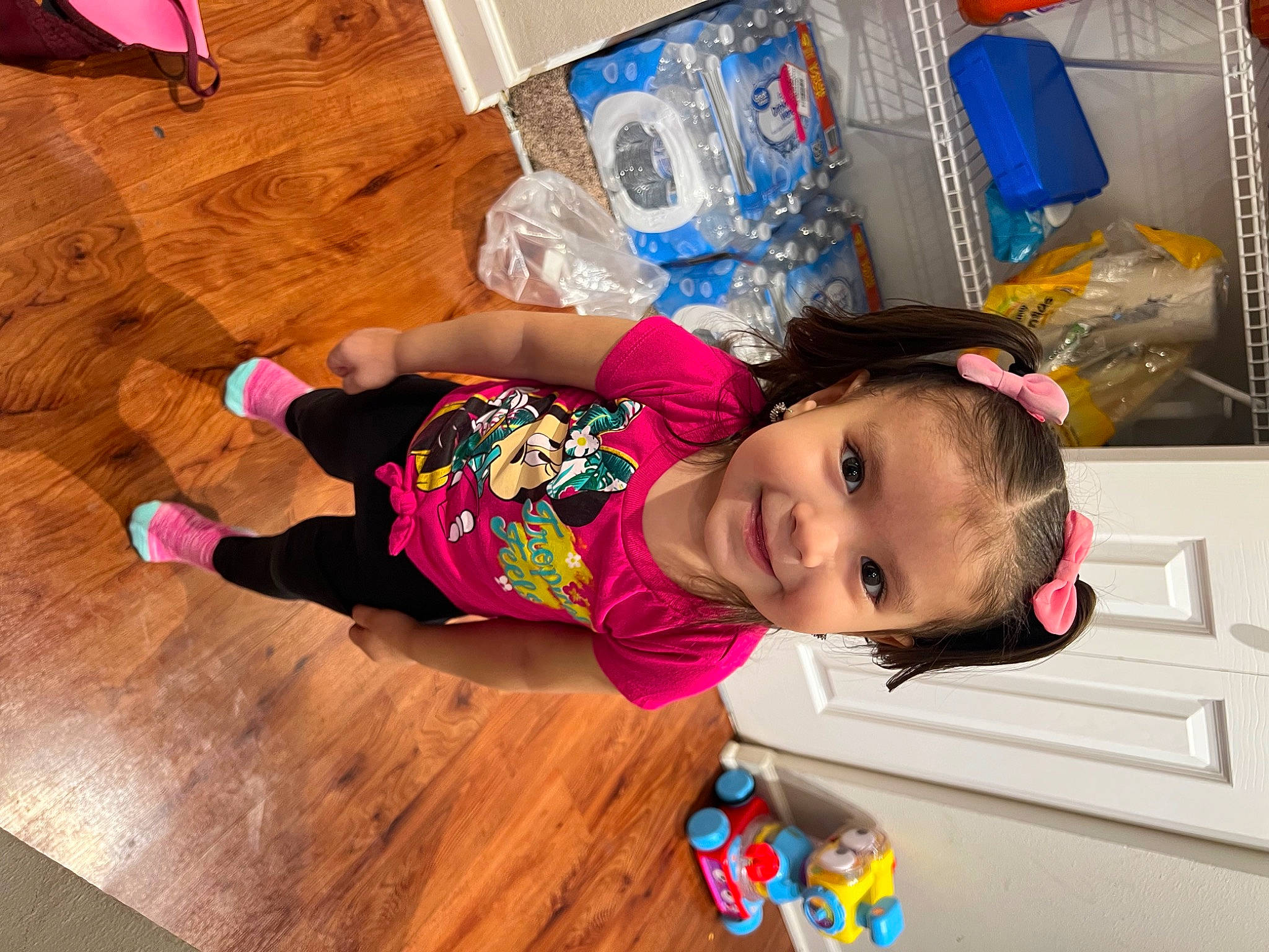 Analiyah Everly is registered to the contest to win money with this photo: baby, baby_toddler_clothing, child, floor, flooring, fun, happy, hardwood, joy, laminate_flooring, leisure, person, pink, purple, room, smile, t_shirt, toddler, varnish, wood