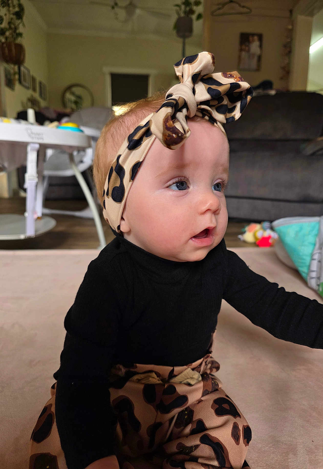 Aurora is registered to the contest to win money with this photo: baby, infant, headband, leopard_print, black_clothing, sitting, carpet, living_room, blue_eyes, cute, child, toddler, curious, indoors, soft_lighting, furniture, play_area, floor, young_child, portrait