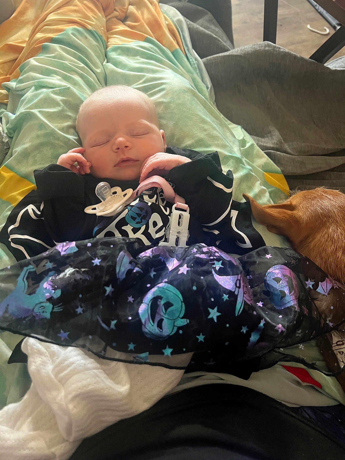 Amyra joined the competition — help win amazing prizes! baby, sleeping, blanket, dog, pacifier, clothing, person, indoor, cute, resting, pet, skirt, pattern, hand, head, cozy, fur, animal, peaceful, relaxing