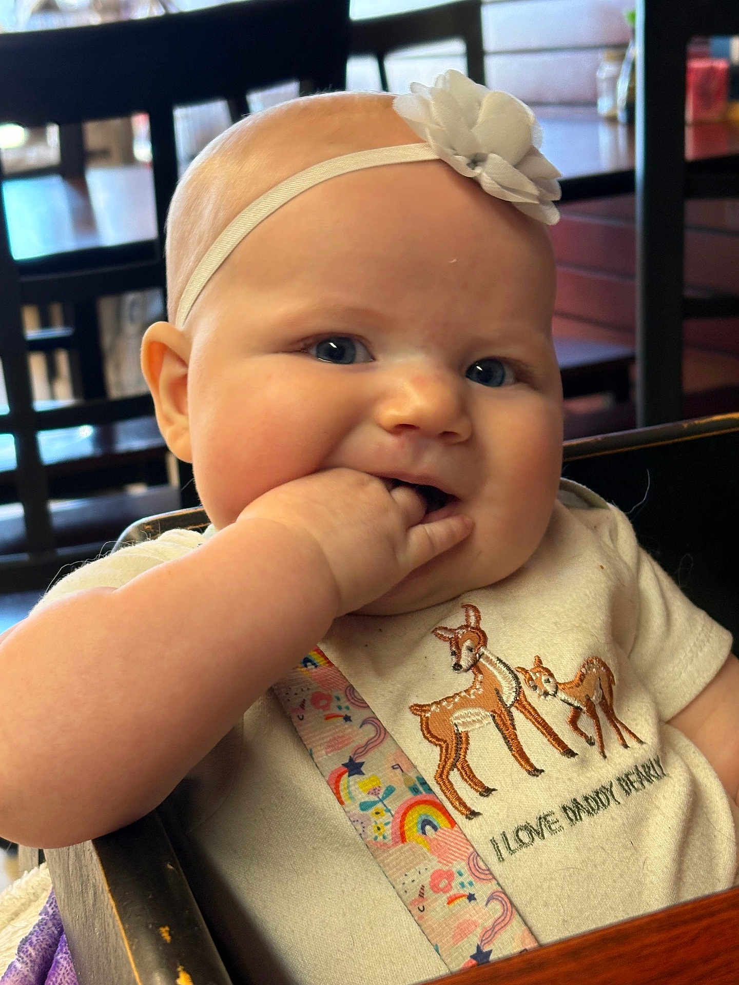 Amyra is registered to the contest to win money with this photo: baby, infant, baby_girl, headband, flower_headband, blue_eyes, hand_in_mouth, chubby_cheeks, onesie, embroidered_deer, colorful_strap, high_chair, wooden_chair, indoor, restaurant, cute, portrait, close_up, smile, candid