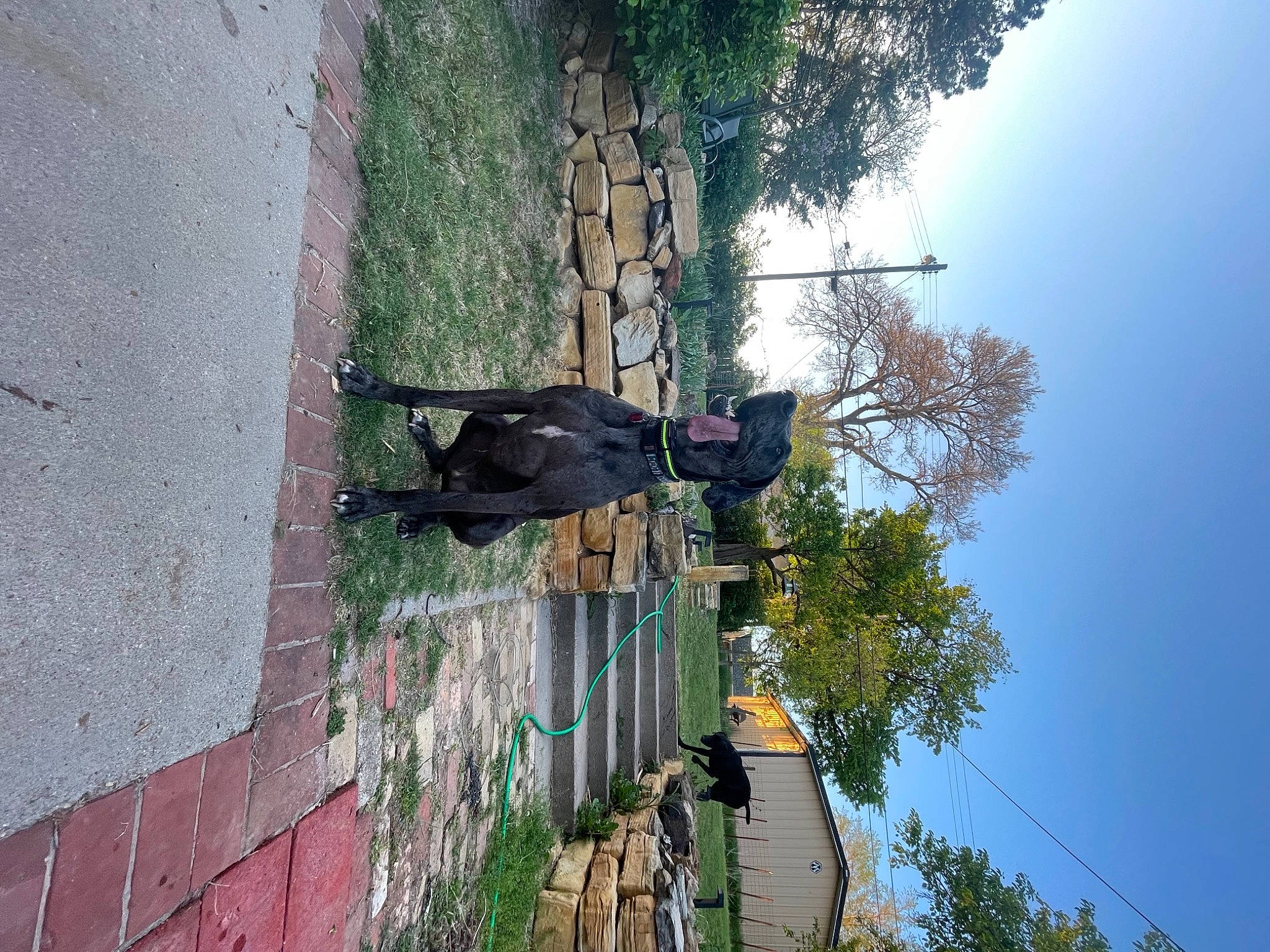 Diego is registered to the contest to win money with this photo: adventure, building, electrical_supply, electricity, facade, house, overhead_power_line, plant, pole, public_utility, shadow, sky, street_light, tree, trunk, window, wire, wood