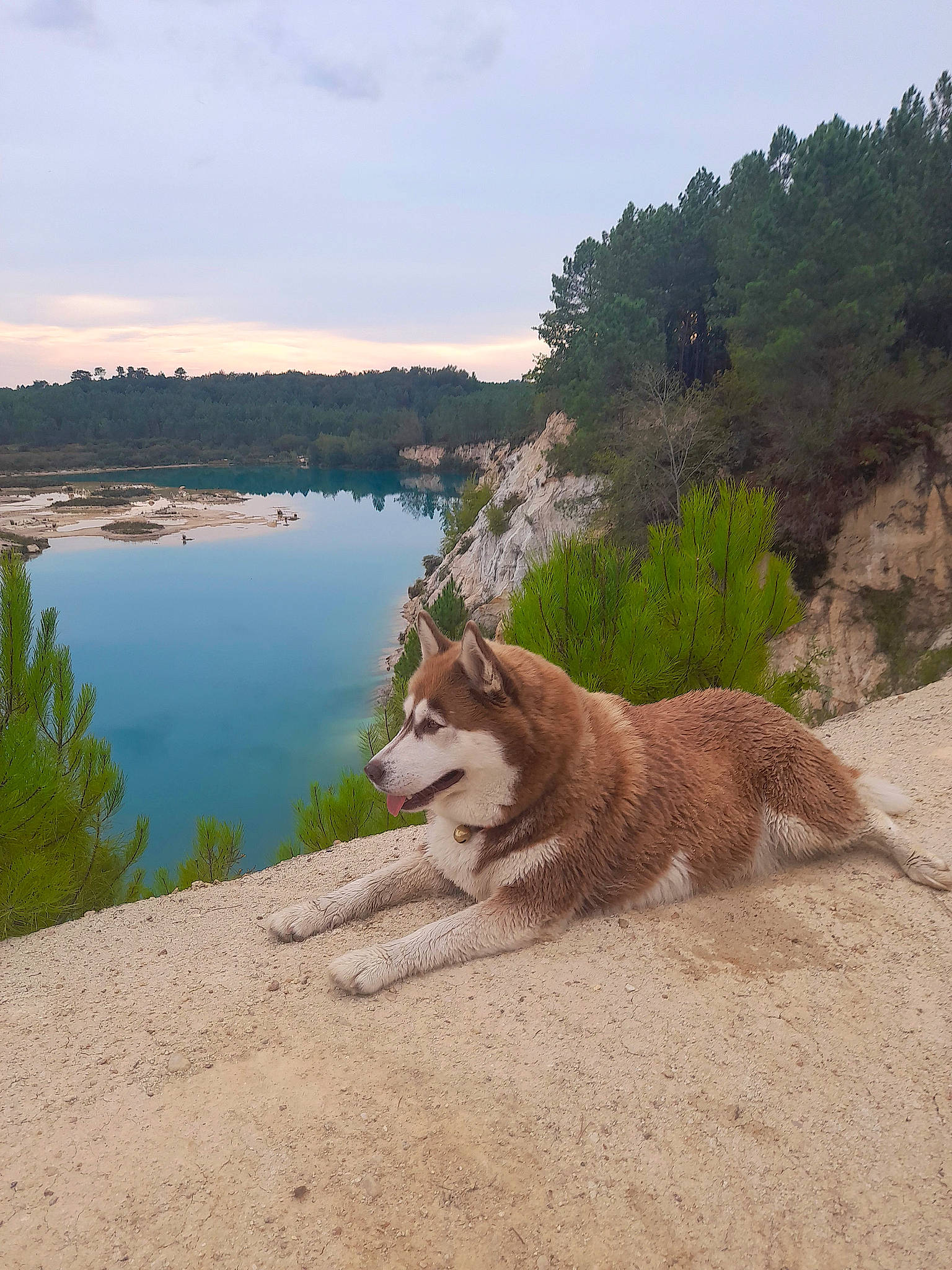 Nutela a rejoint le concours — aidez-le/la à gagner de superbes lots ! big_cats, canidae, carnivore, cloud, dog_breed, fawn, felidae, grass, lake, landscape, mountain, natural_landscape, plant, reservoir, sky, tail, terrestrial_animal, tree, water, wildlife