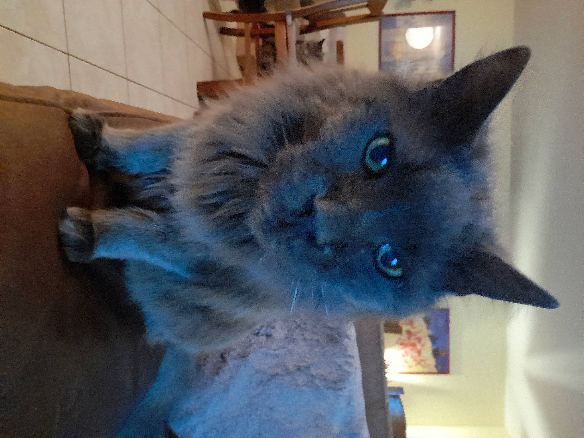 Ebly De Saint-cybard