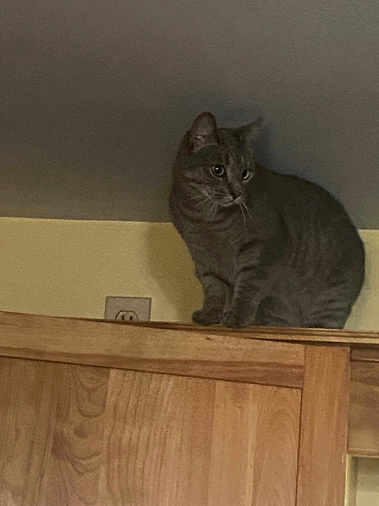 Freya