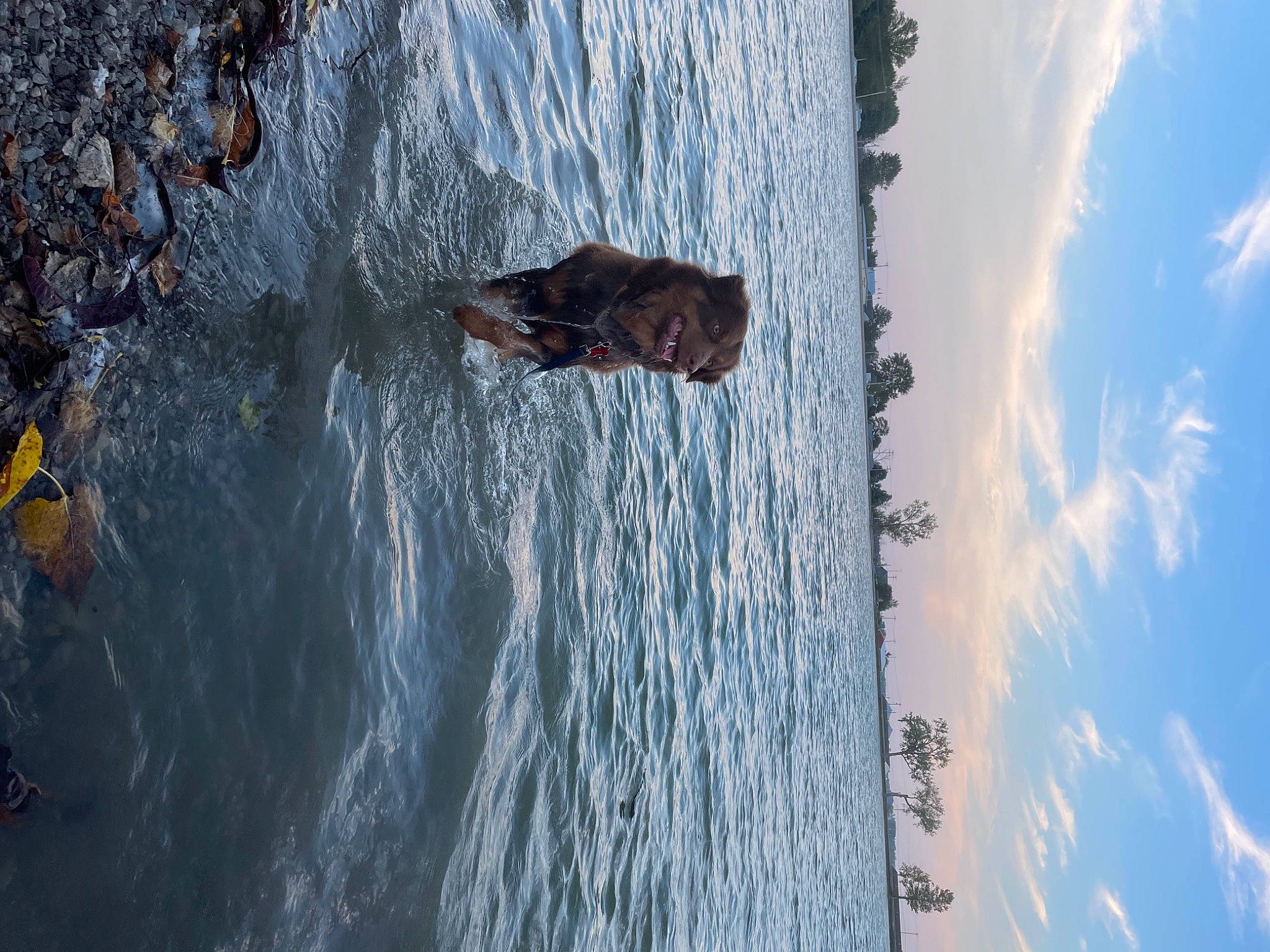 Charlie joined the competition — help win amazing prizes! adventure, azure, blue, cloud, formation, freezing, fun, geological_phenomenon, lake, leisure, ocean, recreation, reflection, sky, tree, water, water_feature, wind_wave, winter, wood