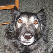 Beppsy a rejoint le concours — aidez-le/la à gagner de superbes lots !