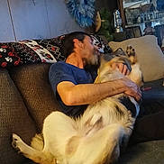 Axel is registered to the contest to win money with this photo: beard, blanket, casual_clothing, couch, cross, cuddling, display_cabinet, dog, fur, home_interior, indoor, living_room, man, paw, pet, pillow, relaxing, shelf, sofa, wreath