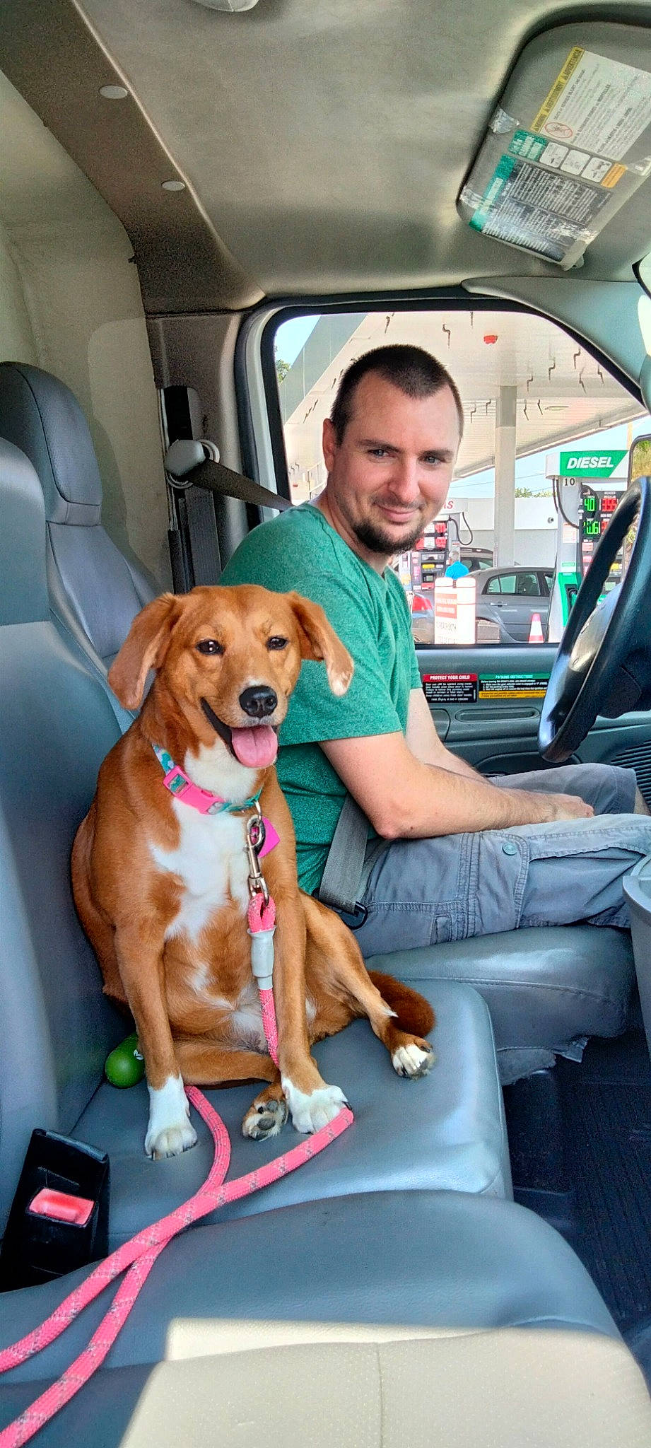 Trixie joined the competition — help win amazing prizes! automotive_exterior, canidae, car, car_seat, car_seat_cover, carnivore, collar, companion_dog, dog, dog_breed, dog_collar, family_car, fawn, leisure, motor_vehicle, personal_luxury_car, smile, snout, vehicle, vehicle_door