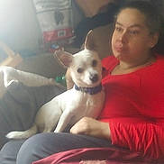 Lokie joined the competition — help win amazing prizes! woman, dog, indoor, couch, red_shirt, pet, casual, blurred, cozy, relaxed, sitting, small_dog, white_dog, brown_patches, furniture, blanket, human, companion, domestic, living_room