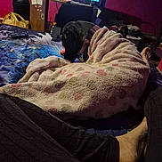 Beanie Boo is registered to the contest to win money with this photo: bed, blanket, clutter, collar, cup, cushion, dog, floor, foot, indoor, leg, nighttime, person, pink_wall, plastic_bag, plastic_bottle, relaxation, remote_control, table, television
