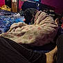 bed, blanket, blue, collar, cup, dog, feet, furniture, indoor, pants, person, pink, plastic_bag, purple, relaxation, remote_control, room, sitting, television, trash_can