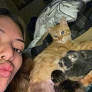 Nugget joined the competition — help win amazing prizes! person, cat, kitten, animal, pet, bed, blanket, indoor, cozy, sleeping, mammal, fur, resting, cute, family, love, domestic, comfort, mother, nurturing