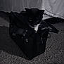 animal, bag, bedspread, black_and_white, carpet, cat, collar, cozy, curiosity, curious, dark, feline, floor, fur, home, indoor, peek, pet, shadow, whiskers